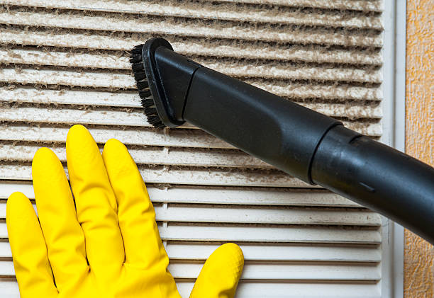 Best Professional Duct Cleaning Services  in Mammoth Lakes, CA